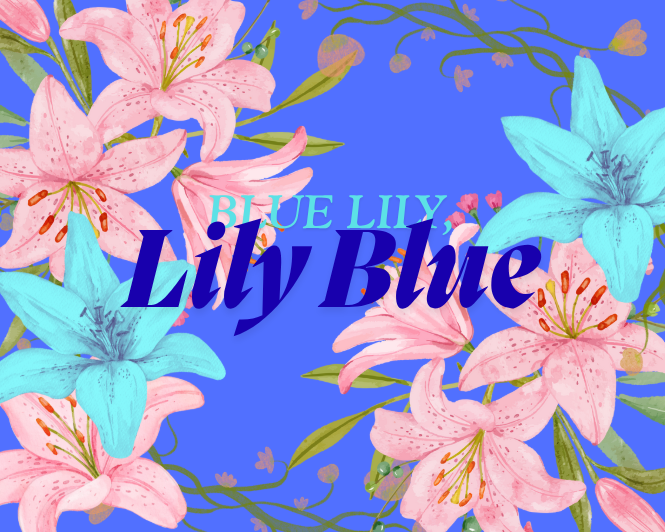 Blue Lily, Lily Blue — cover